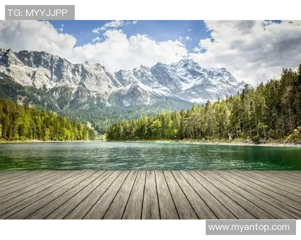 杨磊独家分享攀岩技巧与心得体会助你轻松征服高峰